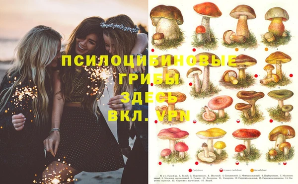 кокс Абдулино