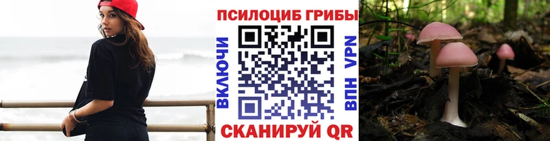 купить  сайты  Торопец  Галлюциногенные грибы мухоморы 